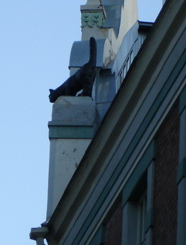 Киска на крыше